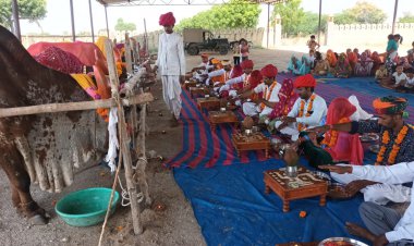 गौमाता के बिना हिन्दुत्व ही अधूरा - दाताश्री