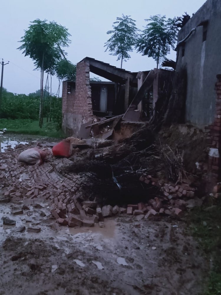 बारिश से जनजीवन अस्त-व्यस्त: पक्की दीवार ढही, पाटौर के नीचे दबने से एक बछिया की मौत