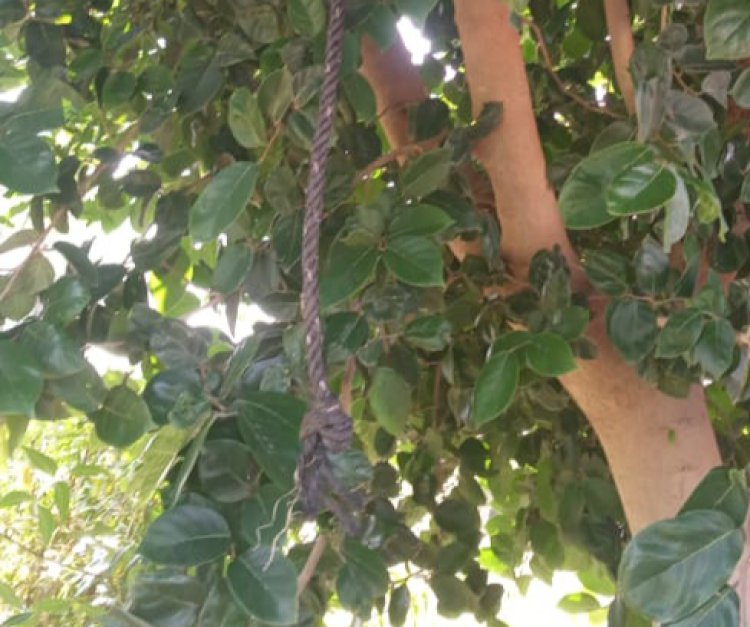 गोविंदगढ़ थाना क्षेत्र में पति पत्नी के बीच हुई अनबन में पति ने पेड़ से लटक कर दी जान