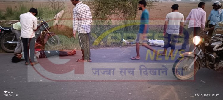 गोविंदगढ़ सीकरी रोड पर शाकीपुर के समीप नीलगाय की टक्कर से बाइक सवार दो युवक घायल: अलवर रैफर