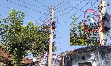 लापरवाही की हदें पार: सूरज को रोशनी दिखा रही रोड लाइटें, बिजली और सरकारी धन की हो रही बर्बादी