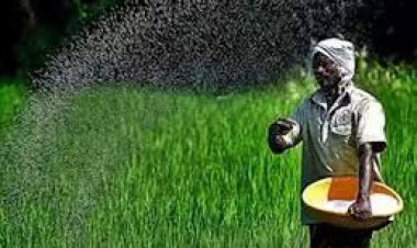 मंत्री धीरज गुर्जर के प्रयास रंग लाए: आगामी दो दिन में 300 टन यूरिया खाद की क्षेत्र के होगी सप्लाई