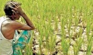 फसल खराबे की गलत सर्वे होने से किसान को नही मिली बीमा राशि: पुन: सर्वे करा बीमा राशि दिलाने की मांग