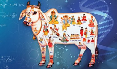 सिर्फ मान्यताएँ ही नहीं: विज्ञान भी कहता है गाय को पवित्र- अतुल मलिकराम