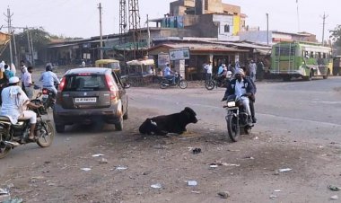 सरकारी बसो को अभाव: परमिट की निजी बसे रूट बदलकर वसूल रही अधिक किराया