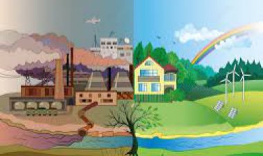 घटते पेड़ बढ़ती चिंता जीना मुश्किल: प्राकृतिक संसाधनों पर स्वामित्व की होड़ बनी पर्यवारण की दुर्दशा का कारण