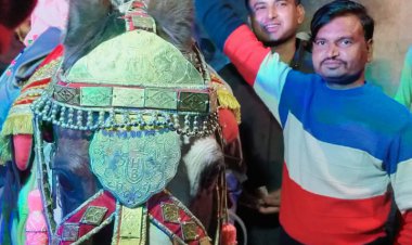 गुङा में घोड़ी पर निकली लाडो की बिंदोरी,बोली हम लड़कियां भी लड़कों से कम नहीं