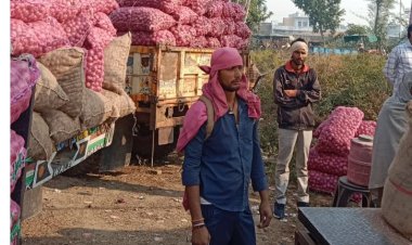 खैरथल की प्याज़ मंडी में लाल प्याज की बंपर आवक-जावक: व्यापारियों के चेहरे खिले, स्थाई मंडी की दरकार