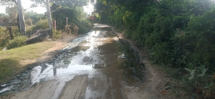 सिरस-गंगरौली सड़क मार्ग पर कीचड़ जलभराव से आमजन परेशान: प्रशासन नहीं दे रहा कोई ध्यान
