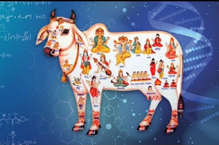 सिर्फ मान्यताएँ ही नहीं: विज्ञान भी कहता है गाय को पवित्र- अतुल मलिकराम
