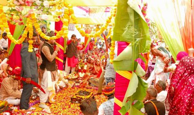 सात फेरों एवं विधि विधान और परम्परागत तरीके से सम्पन्न हुआ तुलसी विवाह