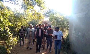 जिला कलेक्टर आलोक रंजन ने किया वैर की बागवानियों का अवलोकन