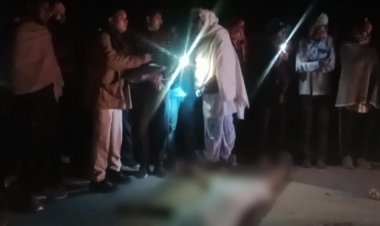 बानसूर में रोडवेज बस ने पैदल जा रहे व्यक्ति को कुचला