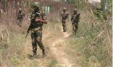 भारतीय जवानों ने एक बार फिर पाकिस्तानी तस्करों को खदेड़ा:  भारी मात्रा मे संदिग्ध हेरोइन भी बरामद