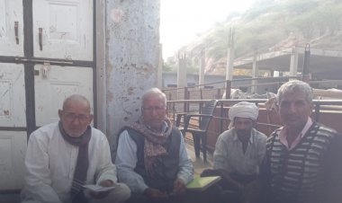 पचलंगी ओम शिव गौशाला की पारदर्शिता के लिए वार्षिक लेखा-जोखा वास्ते छपाई जाएगी पुस्तक - भावरिया