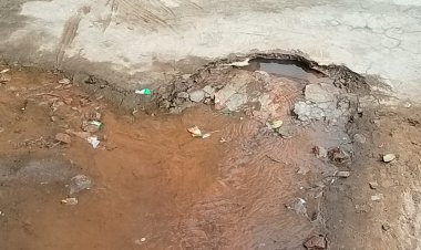 बानसूर में जलदाय विभाग की टूटी पाइपलाइन, 1 माह से व्यर्थ बह रहा हजारों लीटर पानी