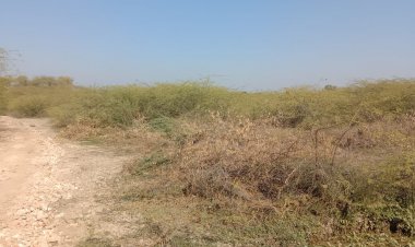 26 जनवरी से आयोजित होंगे शहरी ओलंपिक: अतिक्रमण के चलते जर्जर अवस्था मे खेल मैदान