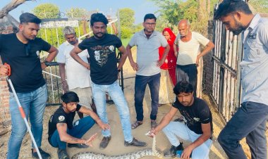 अचानक खेत मे दिखा अजगर, काम कर रहे मजदूरों में दिखा ख़ौफ़