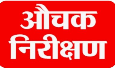 उपखंड अधिकारी ने सरकारी दफ्तरों का किया औचक निरीक्षण