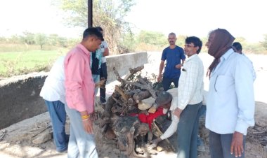 कुत्तों के हमले से बंदर की मौत, ग्रामीणों ने निकाली शव यात्रा