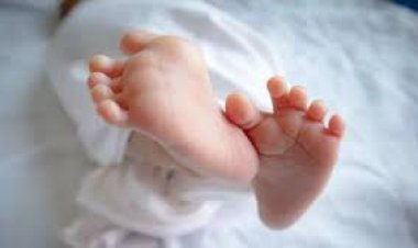 माँ की ममता हुई शर्मसार: मिठाई की थैली में मिला नवजात बच्ची का शव