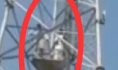 BDO को तत्काल प्रभाव से हटाने की मांग को लेकर 2 पंचायत समिति सदस्य मोबाईल टावर पर चढे