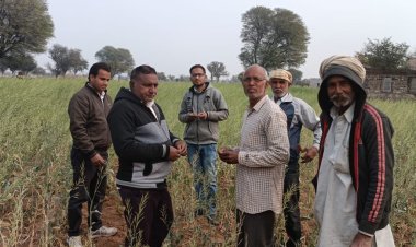 शीतलहर व पाले पडने से खराब हुई फसल की राजस्व कृषि विभाग की टीम ने की गिरदावरी