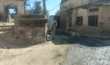 कांग्रेस राज में 4 वर्षों से मूलभूत सुविधाओं से  वंचित झारखेड़ा गांव