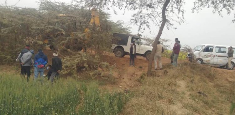 गाजूका के जंगल मे सात वानरो की मौत: फैली सनसनी