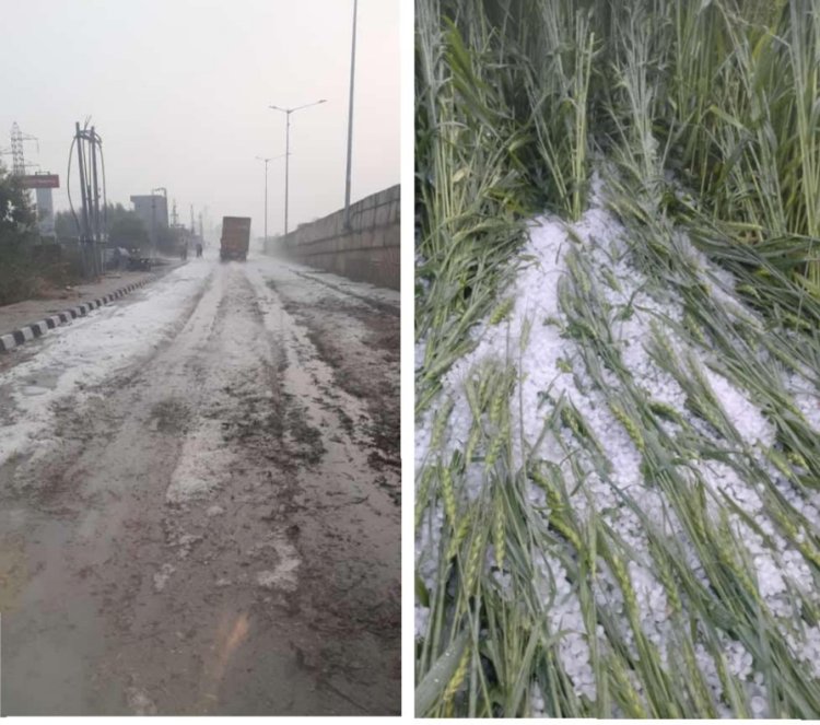 उदयपुर बना कश्मीर, बर्फ से ढंके हरे-भरे खेत और सड़क: किसानों के माथे पर चिंता की लकीरें