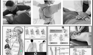 दुजाना में आज बुधवार को लगेगा आयुर्वेदिक चिकित्सा शिविर