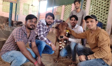 गौ माता की पूजा कर, गौ आलिंगन दिवस मनाया