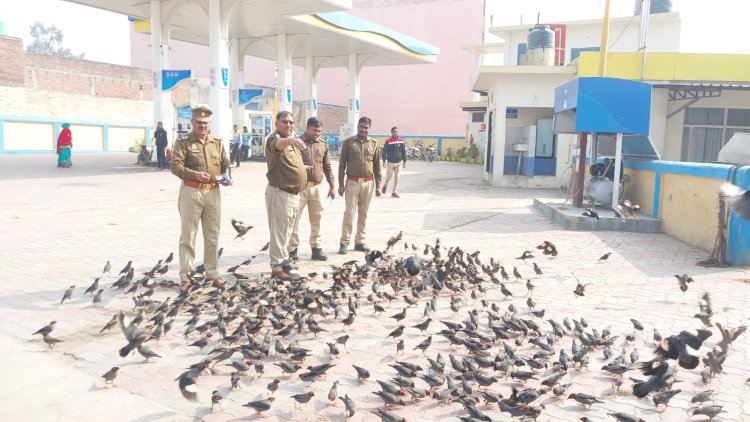 बदायूँ पुलिस में दिखा पक्षी प्रेम: पक्षियों कों खिलाते दिखे दाना-पानी