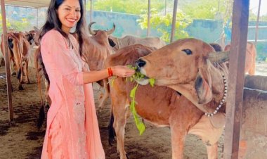 गौशाला में गुड़ हरा चारा खिलाकर मंदिरों में प्रार्थना कर समाजसेवी  ने मनाया अपना जन्मदिन