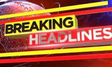 महेंद्रगढ़ में पैंथर ने बनाया 4 साल के बछड़े को निशाना:  ग्रामीणों में दहशत