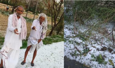 प्रकृति ने किसानो पर बरसाया मुसीबत का कहर:ओलावृष्टि से की गेंहू  ,चने की फसल चौपट