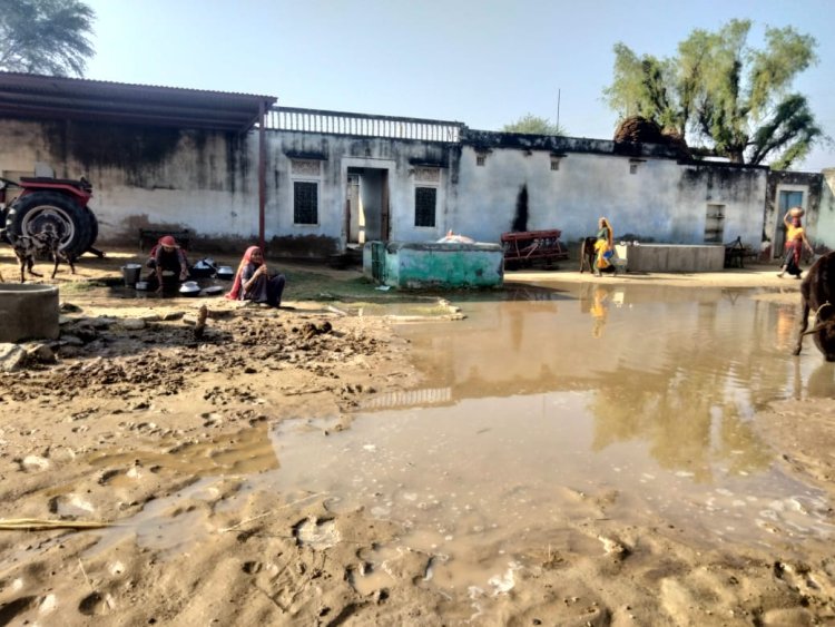 नेवरी की ढाणी शेरावाली में थोड़ी ही बरसात से ही घरों के सामने भर गया पानी: बाहर निकलने का रास्ता भी हुआ अवरुद्ध