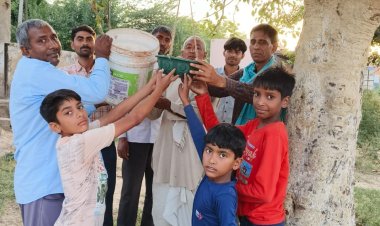 नारायणपुर धामेड़ा रोड पर स्थित राजकीय उच्च माध्यमिक विद्यालय मोरडी में पक्षियों के लिए लगाए गए परिंडे