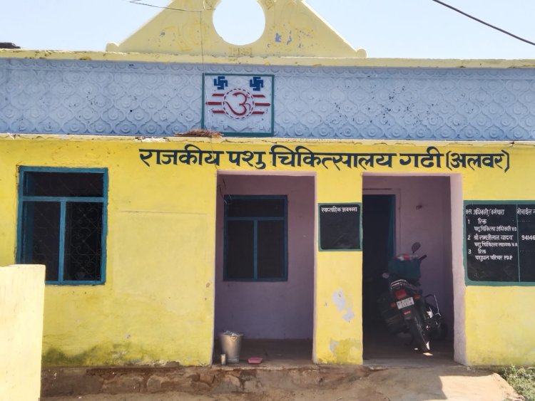 उपखंड नारायणपुर पशु चिकित्सालय विभाग ने उठाया बेड़ा: शिविर में ज्यादा से ज्यादा कराएं पशुधन बीमा