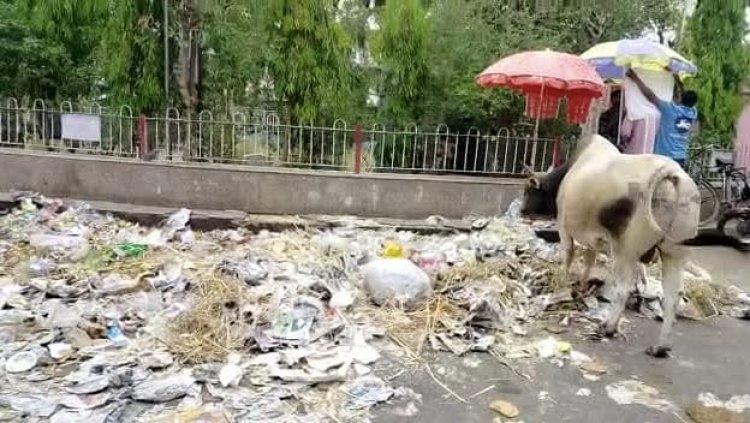 सफाई कर्मचारियों की भरमार फिर भी सफाई व्यवस्था बदहाल :वाशिंदे गंदगी में सांस लेने को मजबूर