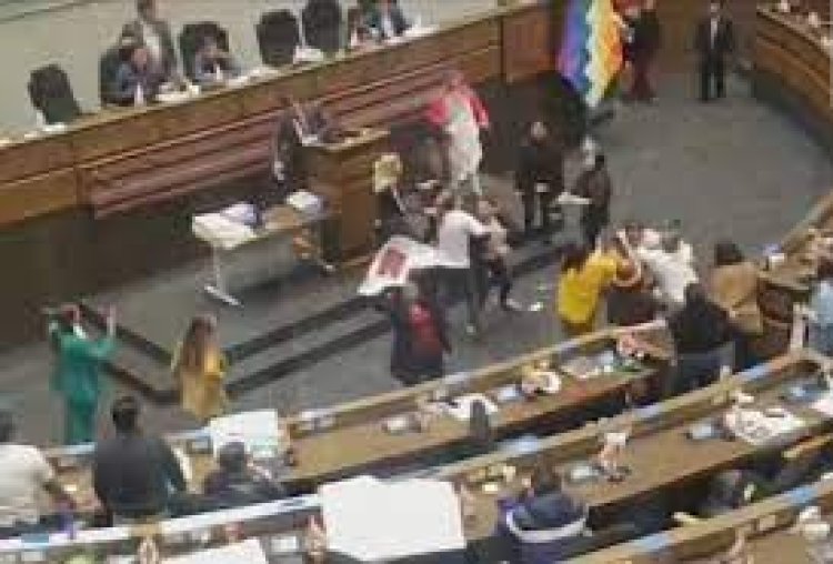 गवर्नर की गिरफ्तारी पर सियासी बवाल मचा: संसद में जमकर चले लात-घूंसे:  महिलाओं ने एक-दूसरे के बाल पकड़कर खींचे