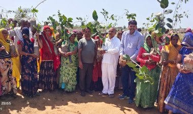 विश्व पर्यावरण दिवस पर लगाये 400 पोधै