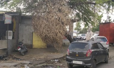 सार्वजनिक शौचालय के बाहर बबूल की टहनिया व खड्डे खोद कर भूला प्रशासन आमजन परेशान