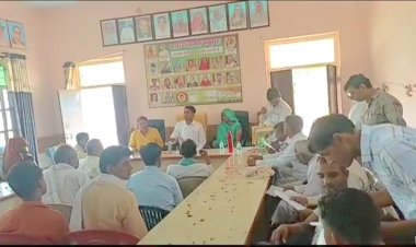 ग्राम पंचायत बनी नगरपालिका: नवगठित नगरपालिका के चैयरमैन पद पर सरपंच ने ली शपथ