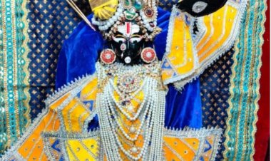 परम् पूज्य माधव गो विज्ञान अनुसंधान संस्थान नौगावा में ठाकुर जी का नौका विहार 18 व 19 को भजन संध्या सहित होंगे कई कार्यक्रम फूल बंगला दर्शन विशेष आकर्षण