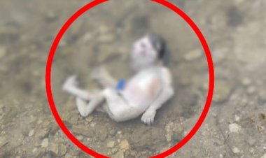 नदी में नवजात बच्ची का तैरता हुआ भ्रूण मिला गांव में फैली सनसनी