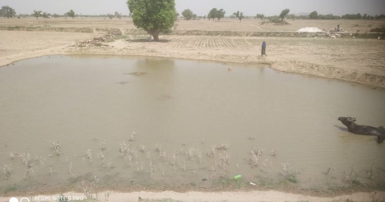 विभाग की लापरवाही के चलते चंबल पाइप लाइन लीकेज: हजारों लीटर पानी व्यर्थ बह रहा, ग्रामींण पेयजल की समस्या से त्रस्त