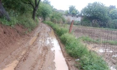 ग्रामीणों ने क्षेत्रीय विधायक व प्रशासन से सीसी रोड मनाए जाने की मांग की