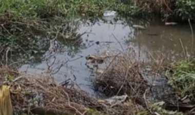 सड़क किनारे 7- 8 फीट गहरा गड्ढा ले सकता है किसकी जान:  प्रशासन को हादसे का इंतजार