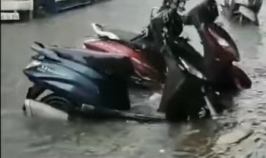 शहर के नाले नालियों की सफाई पर लाखो रुपये खर्च: जरा सी बारिश मे कस्बा हुआ जलमग्न